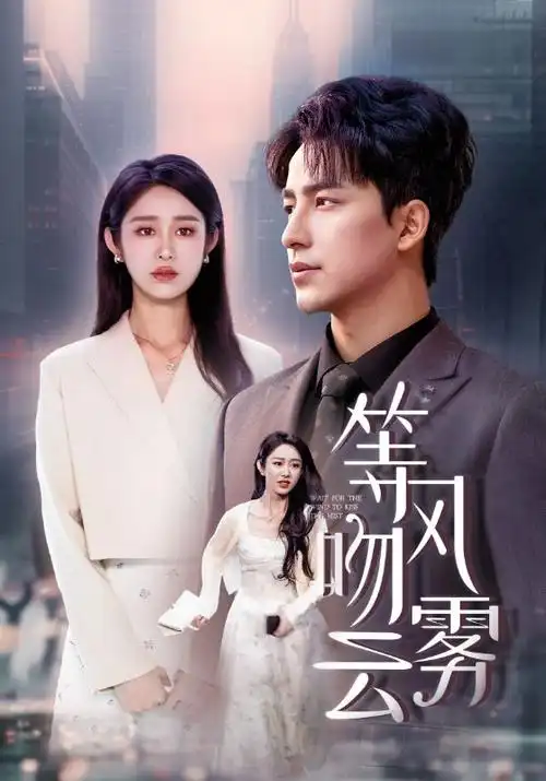 剧集海报：逆光者